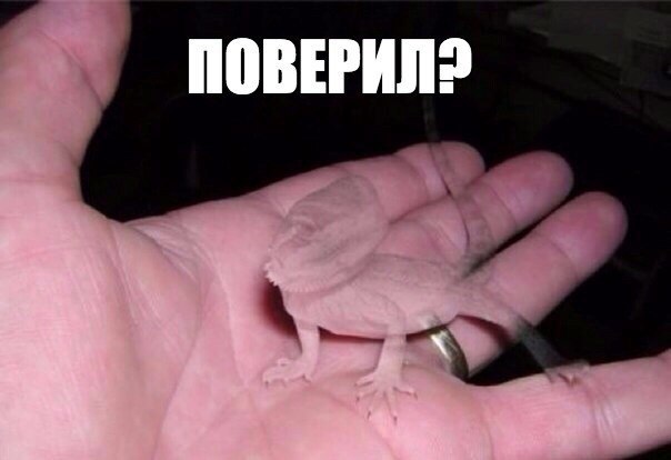   ...  ,   30%     - . ,  .   ...