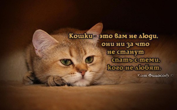 ��� ���� � ����� �� �� - 15 ������� 2015 � 15:34