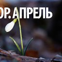 ���� �������, ������ - ��������� 29 ������ 2015 � ������ �������