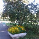 ���� Alexandr, ������, 75 ��� - ��������� 4 �������� 2015 � ������ ���� ����������