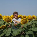 ��� �� �� ������ �-4.