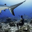 ���� Alexander, �����-���������, 70 ��� - ��������� 24 ������ 2015 � ������ ������ ��������