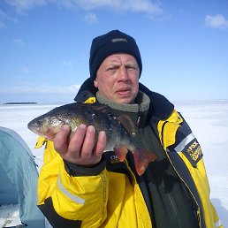 ������, �����-���������, 49 ���