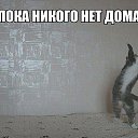 ���� ???, �����, 48 ��� - ��������� 24 ���� 2015 � ������ ���� ����������