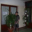 ���� ������, �����������, 60 ��� - ��������� 6 ������� 2015 � ������ ���� ����������