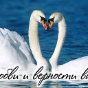 ���� �������, ������, 62 ���� - ��������� 8 ���� 2015 � ������ �������� ��������