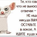 ���� ��������, ��������� - ��������� 20 ���� 2015 � ������ �������