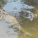    -  ,  -  30  2015   .  2015.   .  3-.