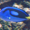 ���� �������, ������ - ��������� 23 ������ 2015 � ������ ���� ����������