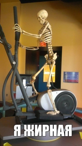 ���� ���� �������)