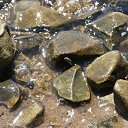 ���� ����, ������, 45 ��� - ��������� 24 ��� 2015 � ������ ���� ����������