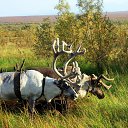  ,  -  8  2015      .