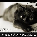 ���� ������� = ������ = �����, ������, 46 ��� - ��������� 30 ��� 2015 � ������ ������ ��������
