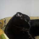 ���� ����, ������ ��������, 53 ���� - ��������� 7 ��� 2015 � ������ ���� ����������