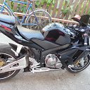 ���� �������, ����, 44 ���� - ��������� 13 ���� 2015