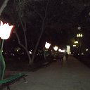 ���� ������, �������� - ��������� 9 ��� 2015 � ������ �������