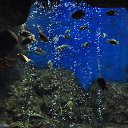 ���� �������, ������, 53 ���� - ��������� 10 �������� 2015 � ������ �������