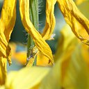 ���� Feruza, ������ - ��������� 20 ��� 2015 � ������ ���� ����������