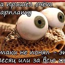 ���� Lyubov Perevezenceva, ��������� - ��������� 30 ���� 2015 � ������ ������ ��������