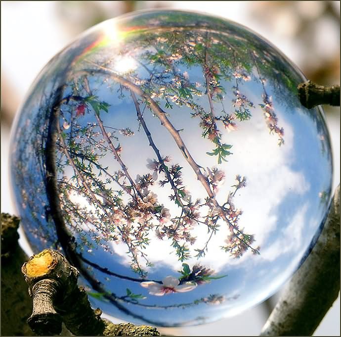 Не летайте низко, птицам не мешайте. Берегите близких, верьте - и прощайте! Не смотрите косо – ...