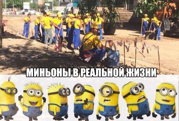 �������� ���� - 25 ������� 2015 � 21:32
