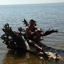 ���� ��������, �����������, 43 ���� - ��������� 8 ���� 2015 � ������ ���� ����������