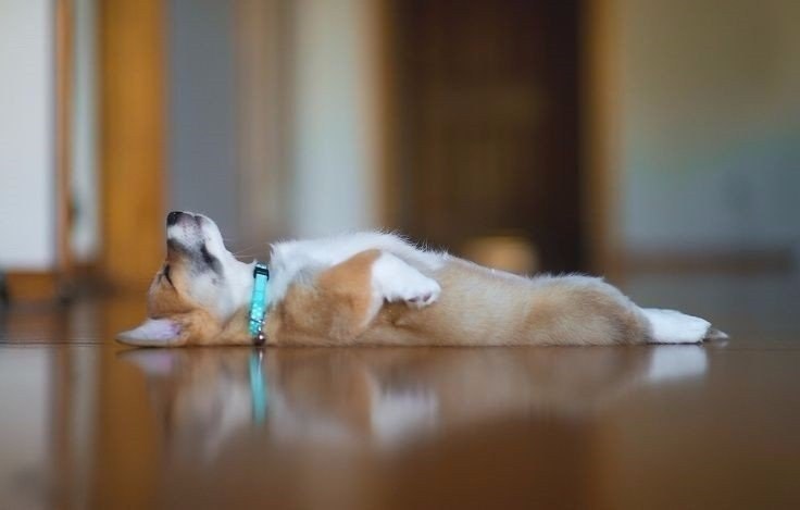   ! #@fitness.blog - 2