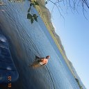 ���� ���������, ����-����������� - ��������� 19 ���� 2015