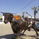 ���� ������, �����, 36 ��� - ��������� 23 �������� 2015 � ������ ������ ��������