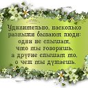 ���� �����, ������ - ��������� 28 ��� 2015 � ������ ������ ��������