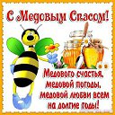 ���� �������, �������� - ��������� 14 ������� 2015 � ������ ������ ��������