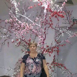 ���� �������, ������, 48 ��� - ��������� 4 �������� 2015