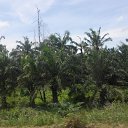    -  ,  -  4  2015    2014.  .  4-.