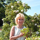 ���� �����, �����, 56 ��� - ��������� 16 ������� 2015 � ������ ���� ����������