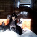 ���� Aleksandr, �����, 51 ��� - ��������� 11 ��� 2015 � ������ ���� ����������