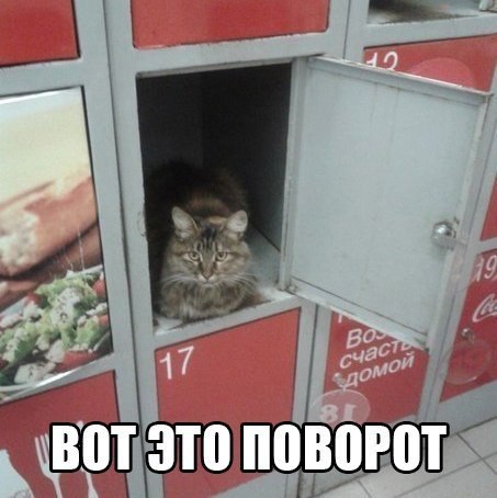 ������������ ���� - 3 ���� 2015 � 22:13