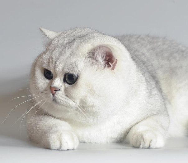 ������ - ��������� - 1 ��� 2015 � 08:24