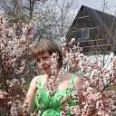 ���� ����, ����, 47 ��� - ��������� 5 ��� 2015 � ������ ���� ����������