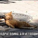 ���� Serg, ����������, 40 ��� - ��������� 26 ������ 2015 � ������ ������ ��������