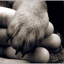 ���� ����, �������, 43 ���� - ��������� 11 ���� 2015 � ������ ������ ��������