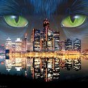 ���� �����, �����������, 43 ���� - ��������� 30 ���� 2015 � ������ ���� ����������