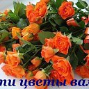 ���� ������, ����������� - ��������� 2 �������� 2015 � ������ ������ ��������