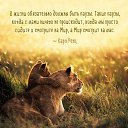 ���� ����, �������� - ��������� 13 �������� 2015 � ������ ������ ��������