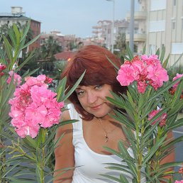 �������, �������