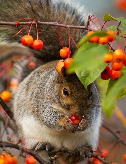   |  |  - 30  2015  22:40 - 2