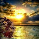 ���� ������, ����������� - ��������� 8 ���� 2015 � ������ ���� ����������