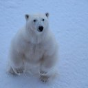 ���� ���������� �� ������� �������