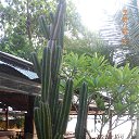    -  ,  -  23  2015    2014.  Lawana.  11-. (2 )