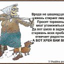 ���� ������, ������, 54 ���� - ��������� 30 ������� 2015 � ������ ������ ��������