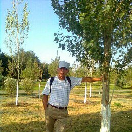 ���� �������, ������, 39 ��� - ��������� 15 �������� 2015